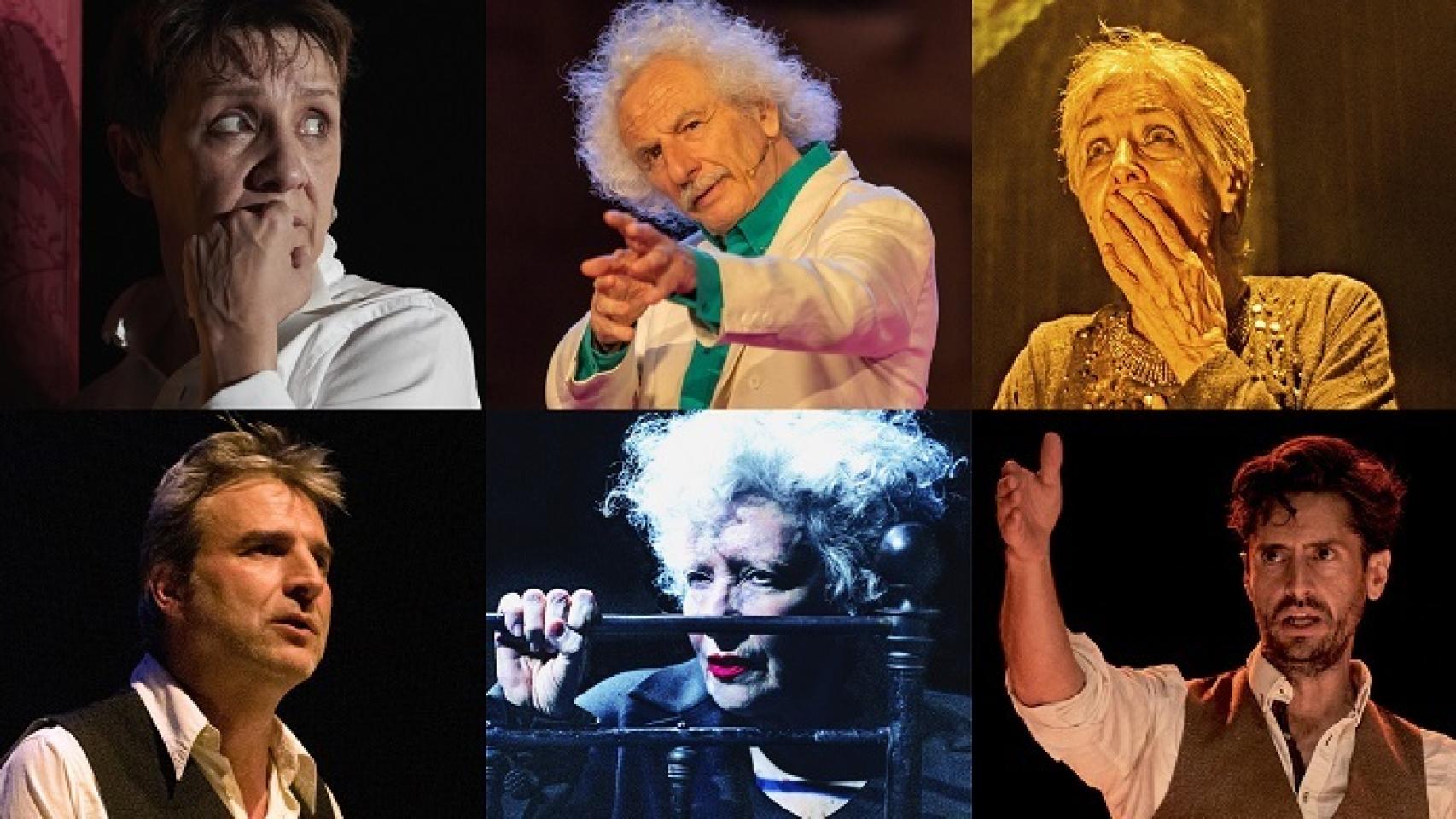 Blanca Portillo ('Silencio'), El Brujo ('Los dioses y Dios'), Concha Velasco ('Reina Juana'), Alberto San Juan ('Lorca en Nueva York'), Magüi Mira ('Molly Bloom') y Juan Diego Botto ('Una noche sin luna')
