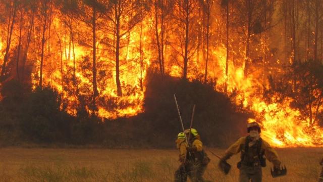 Carta de los agricultores a García-Page pidiendo que no se les criminalice por los incendios