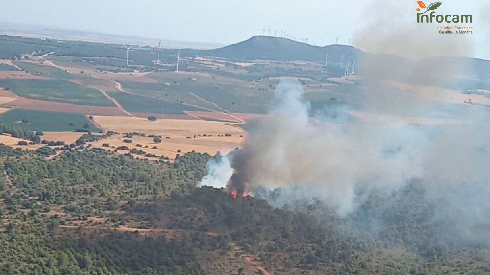Incendio originado en Alpera (Albacete).