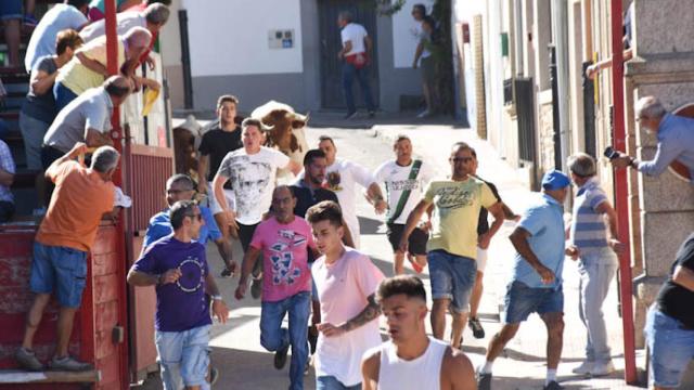 Los encierros matinales son una de las características de las fiestas patronales de Villarino