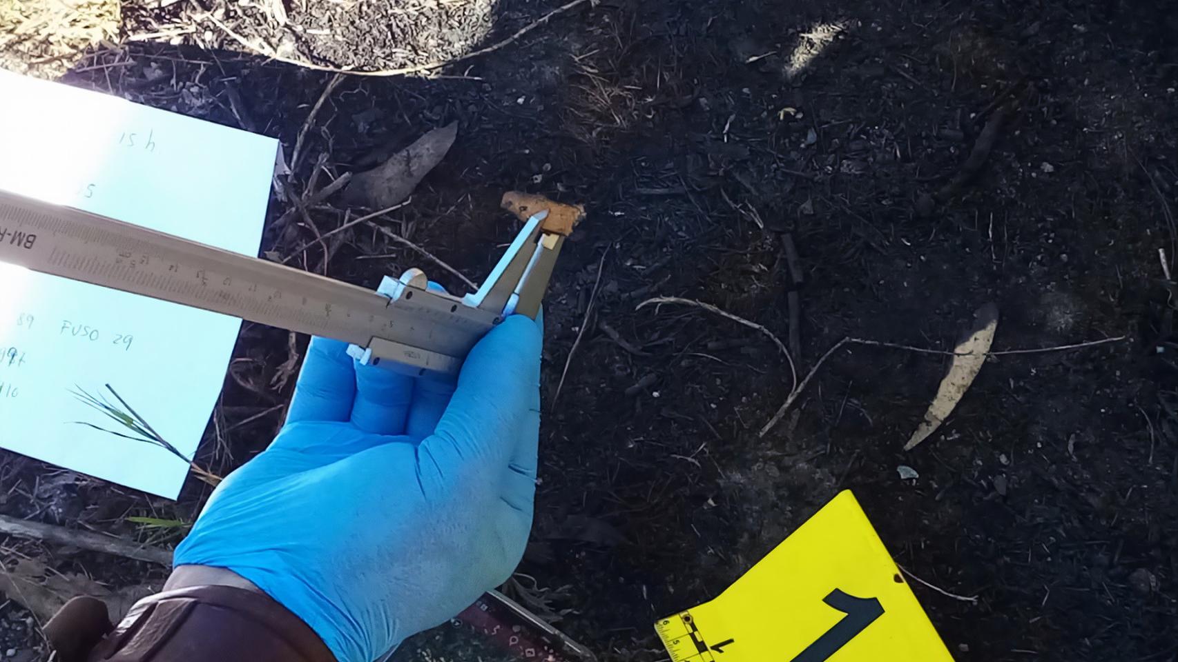 Posibles indicios de un fuego encontrados por la UIFO.