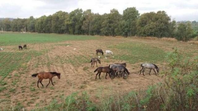 Imagen de los terrenos sobre los que se proyecta el complejo hotelero y residencial de Mijas.
