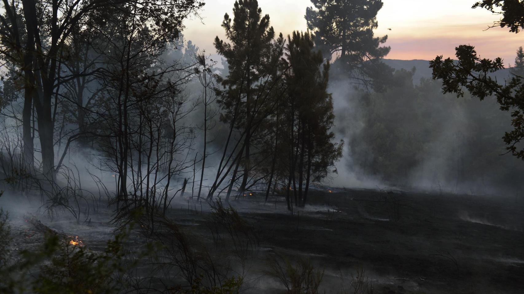 Fuego en Ábedes, en Verín (Ourense).
