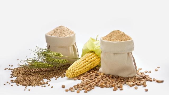 Ingredientes del Gofio Canario.