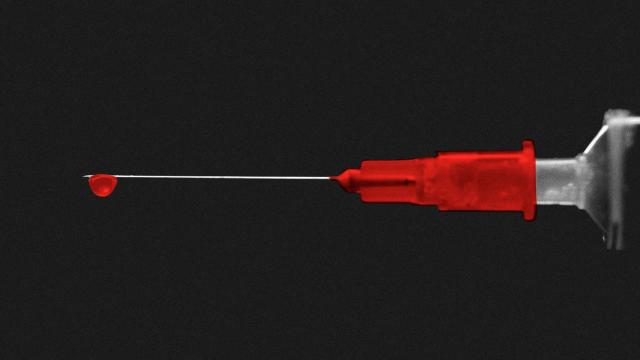 Las transfusiones de 'sangre joven' son inútiles para rejuvenecer al receptor.