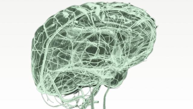 El implante del chip tuvo lugar en julio y los médicos lo califican de un éxito total.