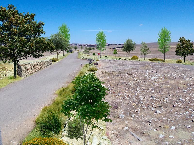 Imagen de una zona verde en Salamanca.