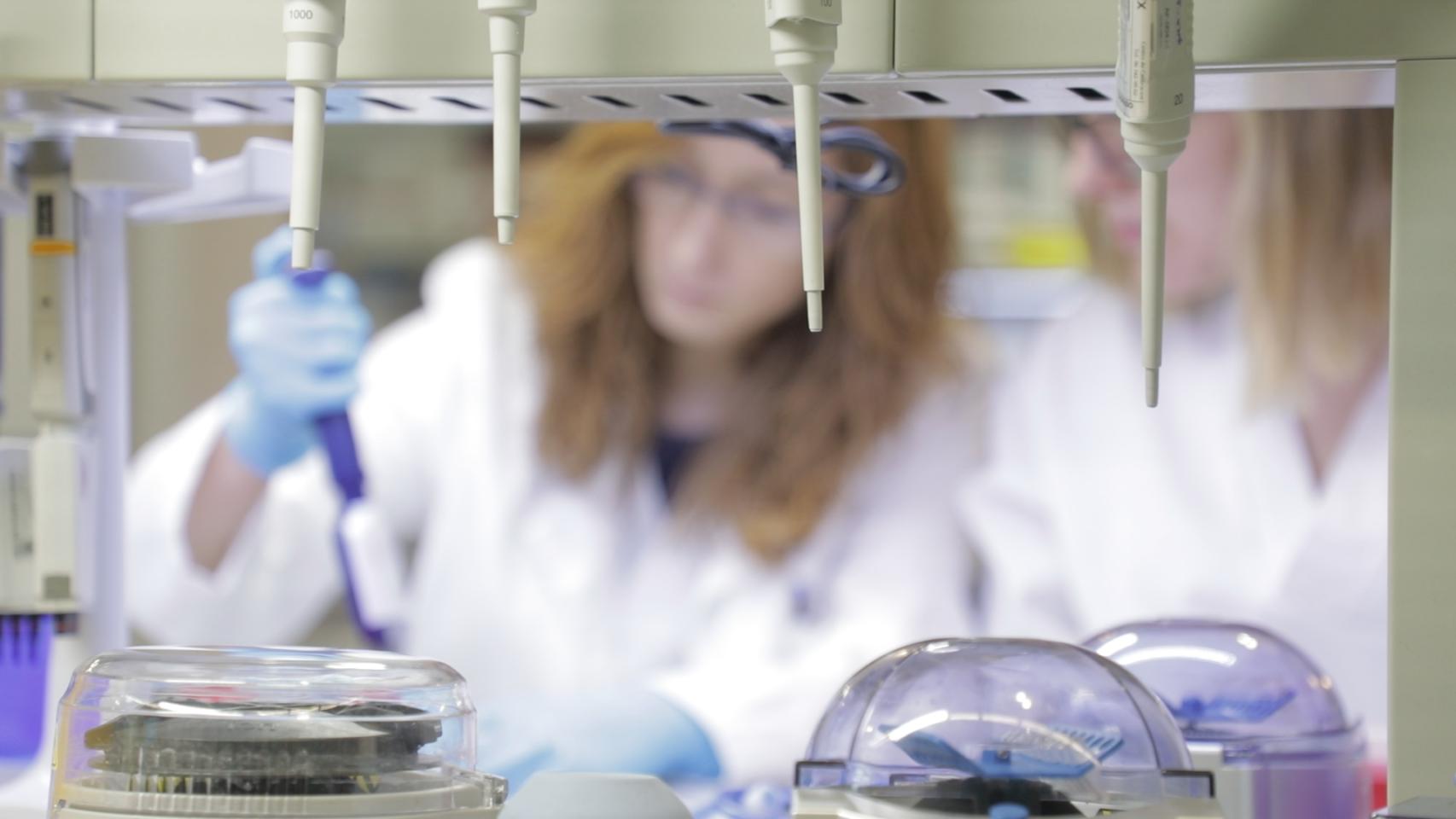 Proyectos de investigación