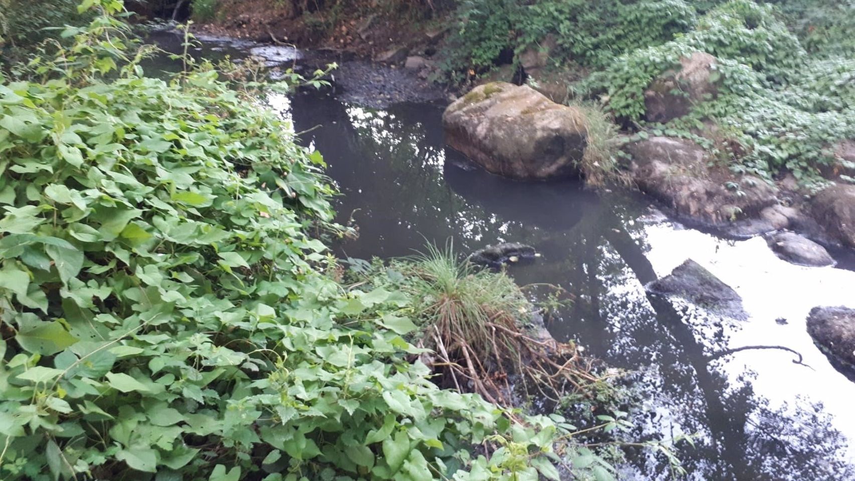 Vertidos al río Loña (Ourense).
