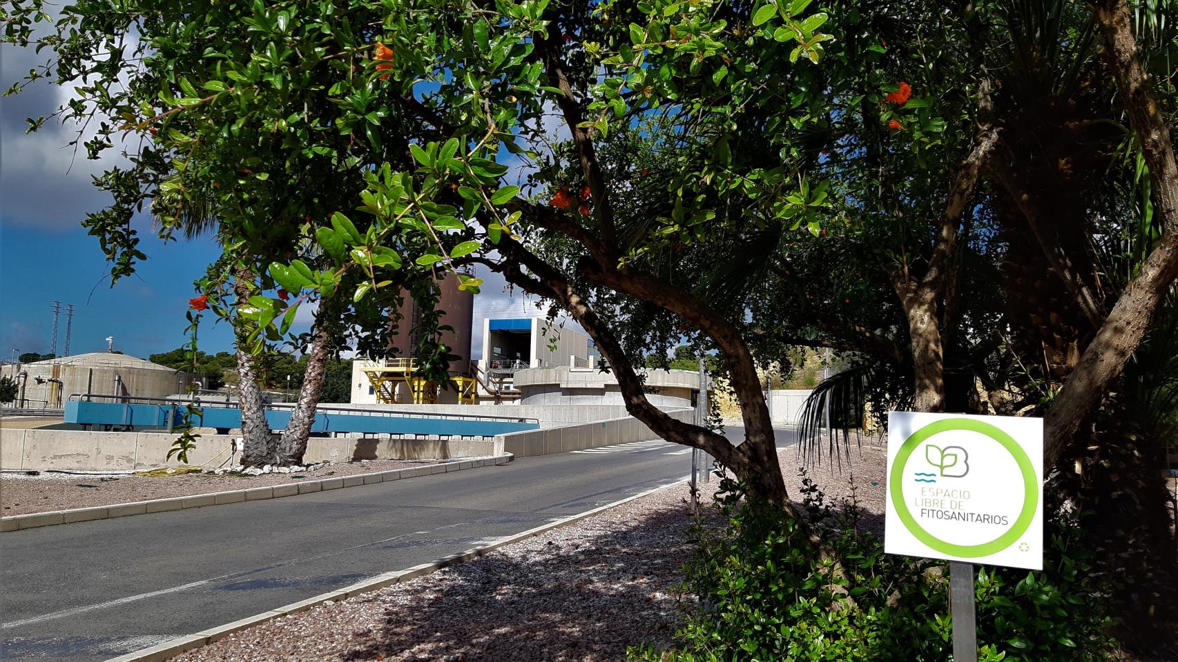 Mantenimiento ecológico en el 100% de instalaciones de Aguas de Alicante para preservación de la biodiversidad
