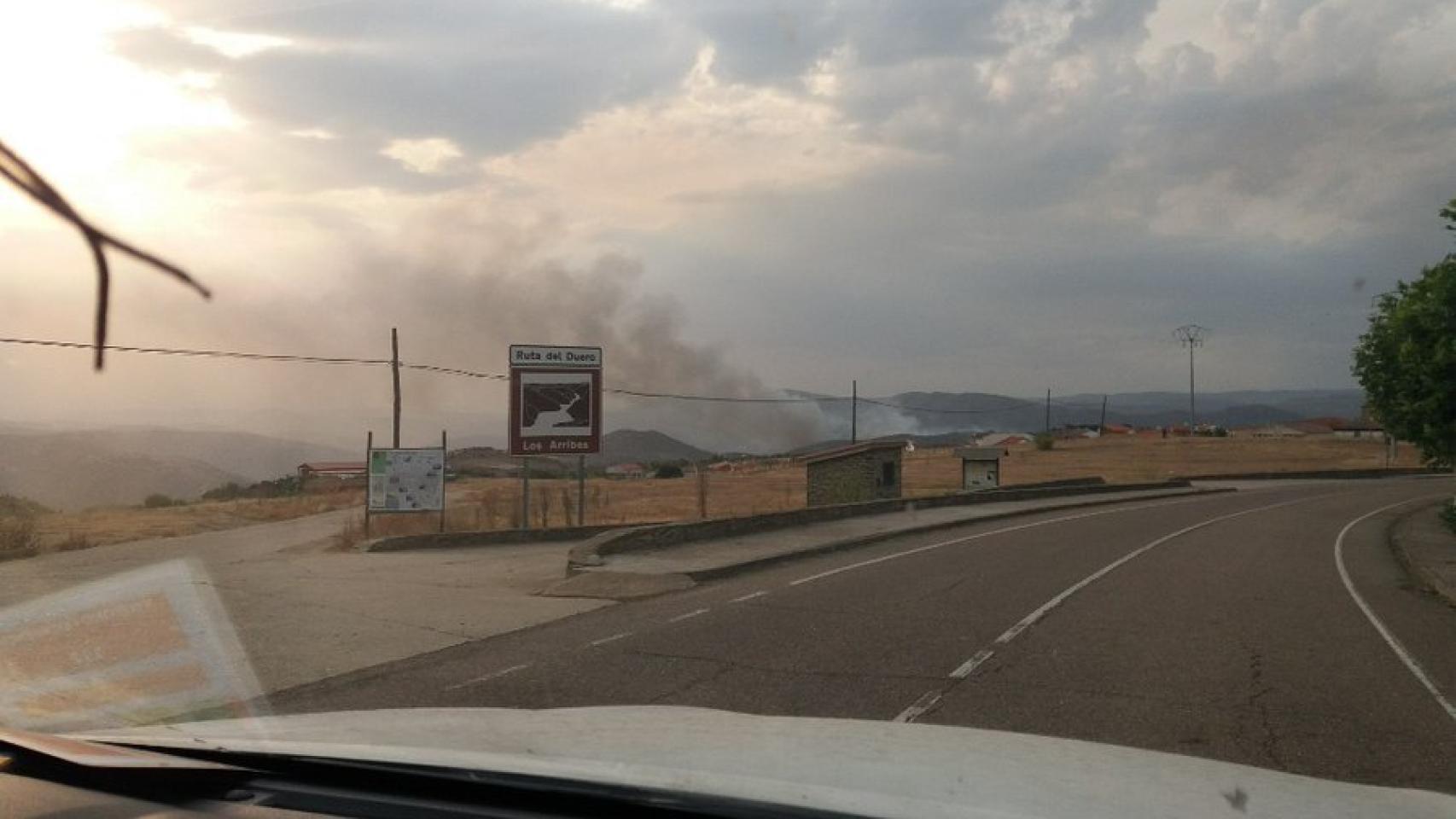 Incendio forestal en La Fregeneda
