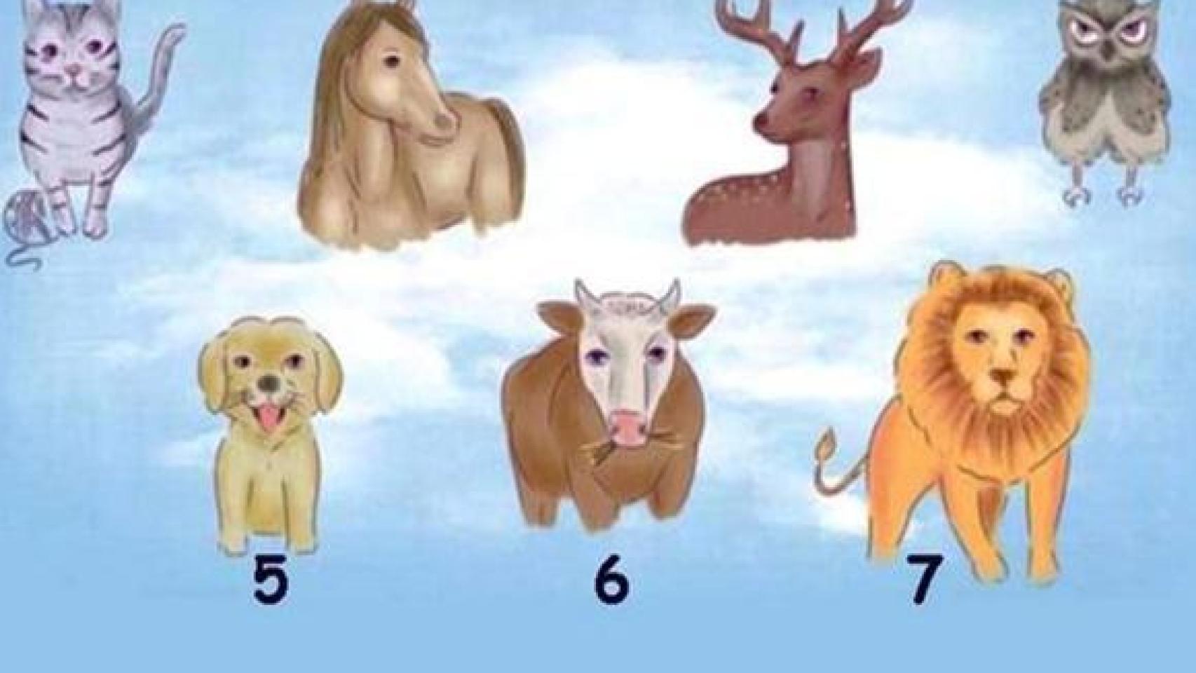 La imagen del test de personalidad.