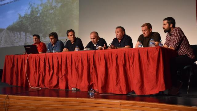 Llamativa denuncia en Castilla-La Mancha: sospechan que la Junta está soltando conejos híbridos