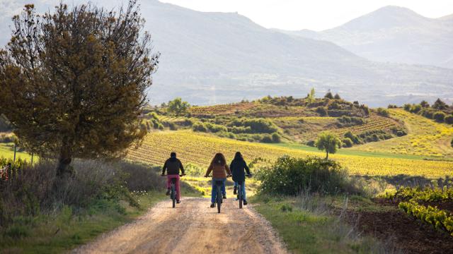 Ruta en bicicleta por los viñedos