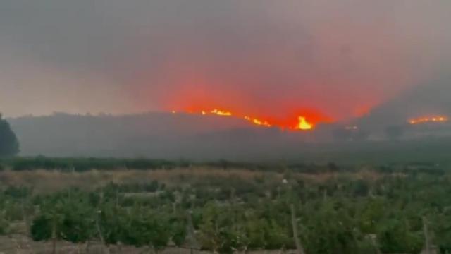 Dos incendios forestales se han declarado en el entorno de Hellín (Albacete).