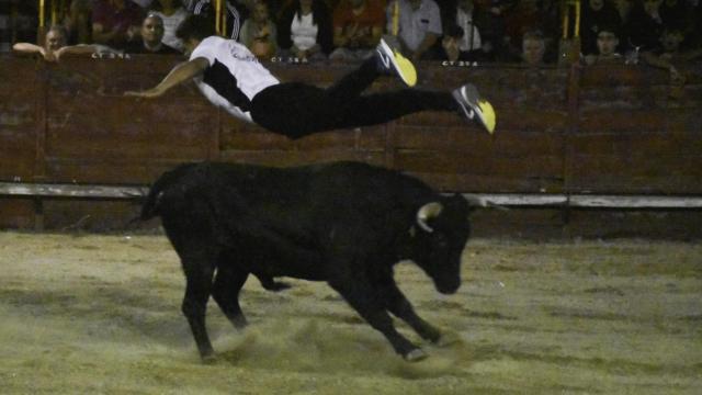 Una gran exhibición de cortes inicia las Fiestas de Villarino con una asistencia masiva