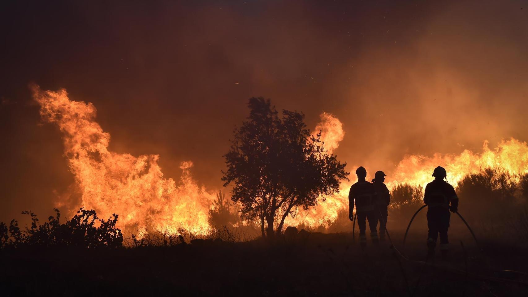 Los bomberos intentan apagar el incendio en Guarda.