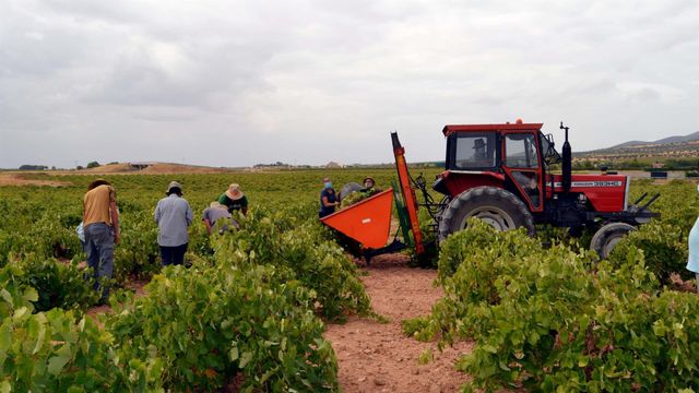Foto: Cooperativa 'El Progreso'.