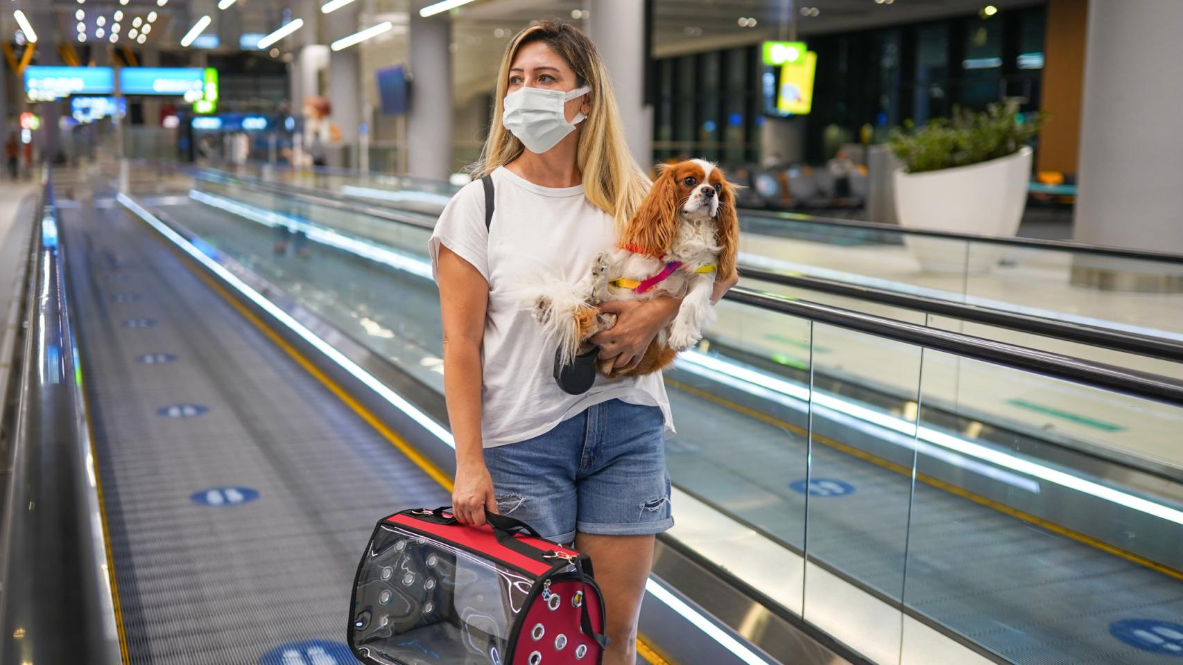 Una chica en el aeropuerto con su perro