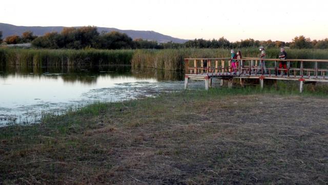 Las Tablas de Daimiel (Ciudad Real) por fin se empiezan a llenar de agua