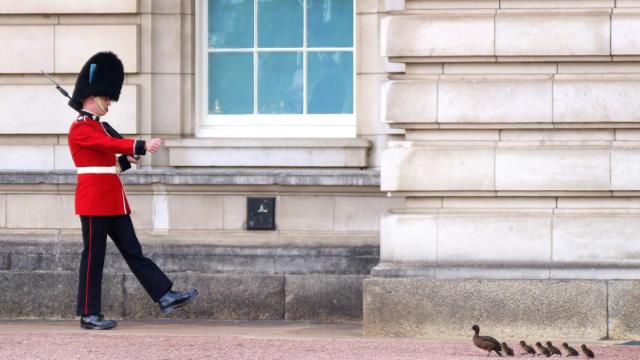 Un guardia de la Reina frente al Palacio de Buckingham.