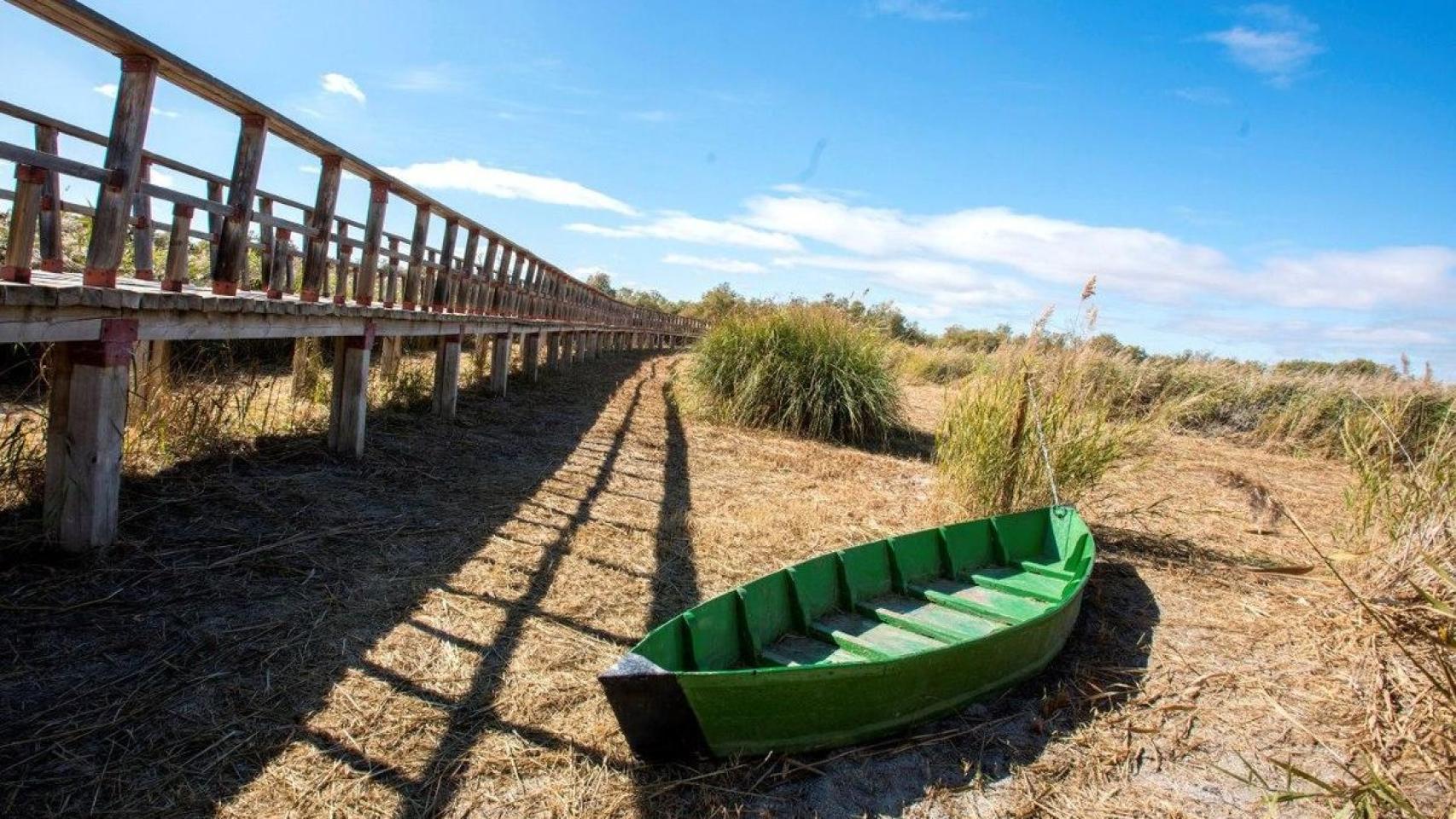 Una de las zonas inundables de Las Tablas de Daimiel completamente seca