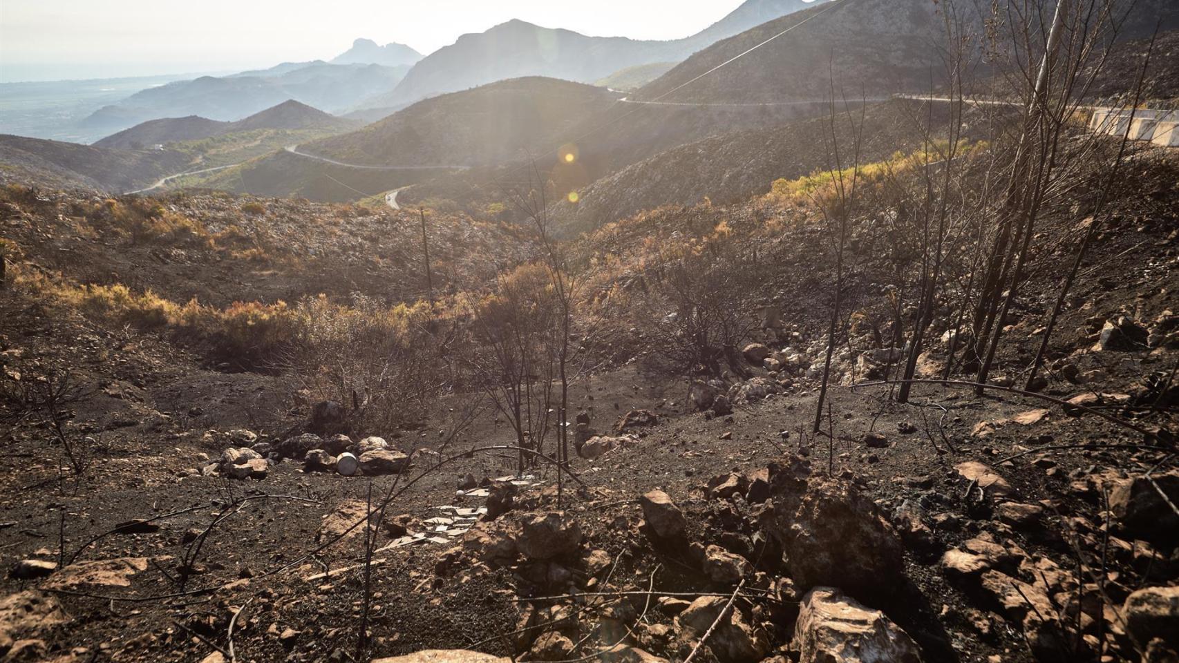 Uno de los frentes del incendio de la Vall d'Ebo, ya extinguido por la lluvia de esta noche.