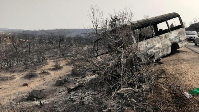 Varios árboles y un autobús, destruidos a causa del fuego en Argelia, en una imagen tomada este 18 de agosto