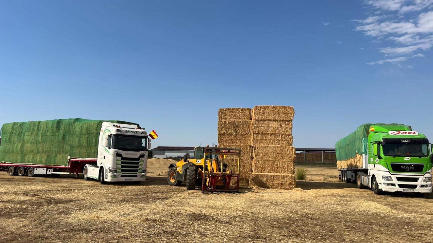 Imagen del material que se envía desde Valladolid rumbo a Zamora para los afectados por los incendios