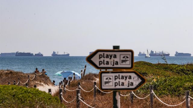 Varios cruceros vistos desde una playa de Valencia, hace dos semanas.
