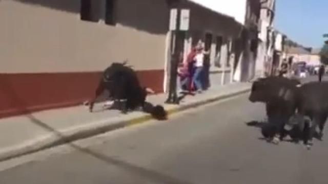 Cogida a una joven durante los encierros de Aldeamayor de San Martín