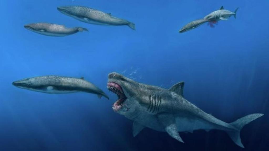 Un modelo 3D revela todo lo que era capaz de ingerir esta especie de un bocado