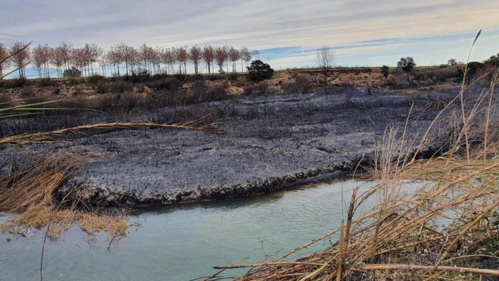 Chapapote forestal: la ‘pesadilla’ que crea la mezcla de agua y ceniza tras los incendios