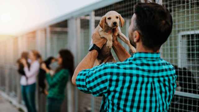 Imagen de archivo de un joven con un cachorro