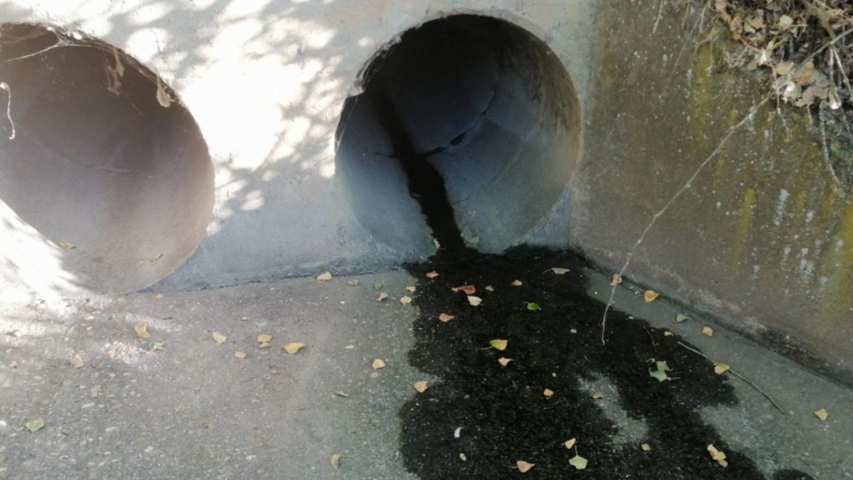 Vertidos al río Duero por el aliviadero de los Tres Árboles en Zamora