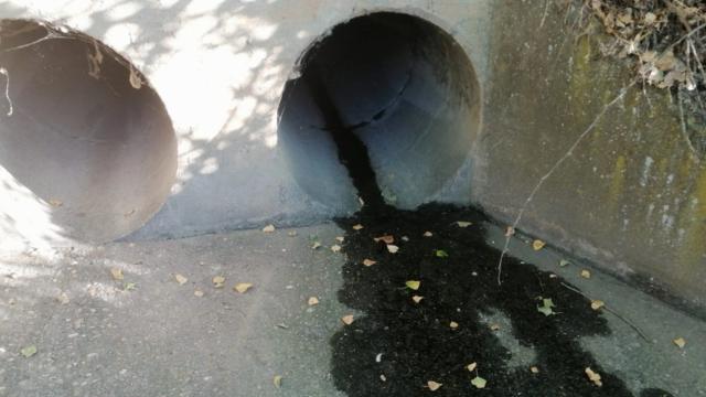Vertidos al río Duero por el aliviadero de los Tres Árboles en Zamora