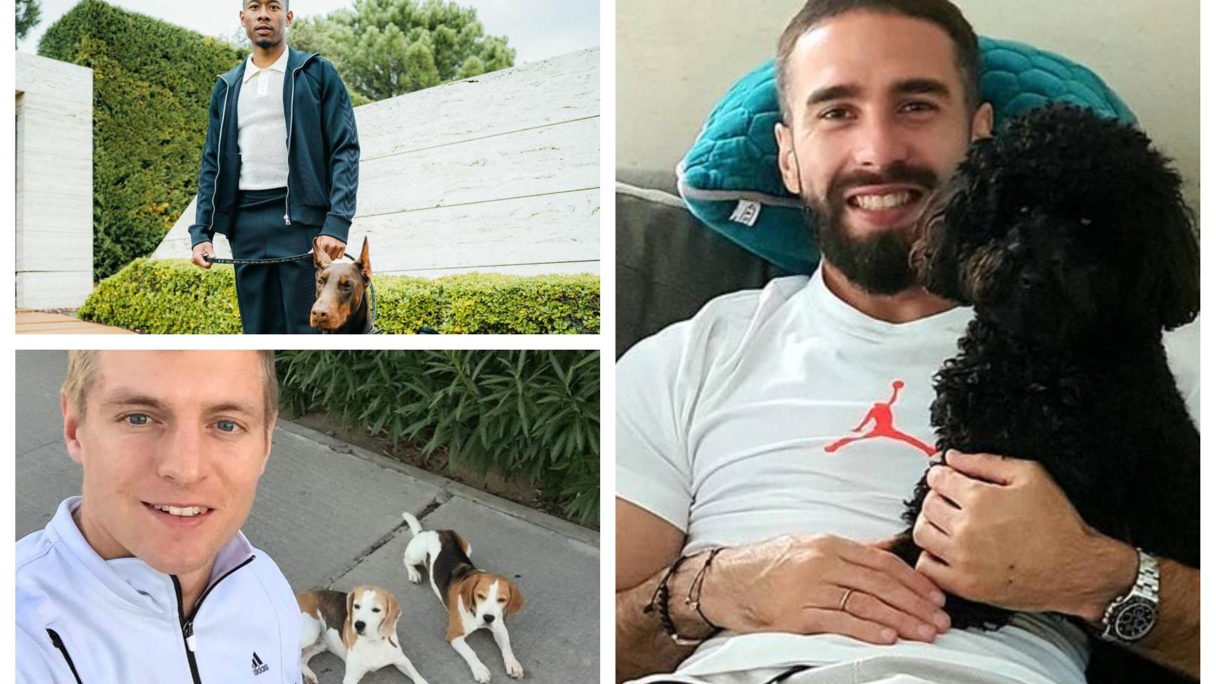 Alaba, Kroos y Carvajal, con sus perros