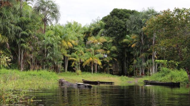 Embarcaciones en la orilla de un río de la Amazonía