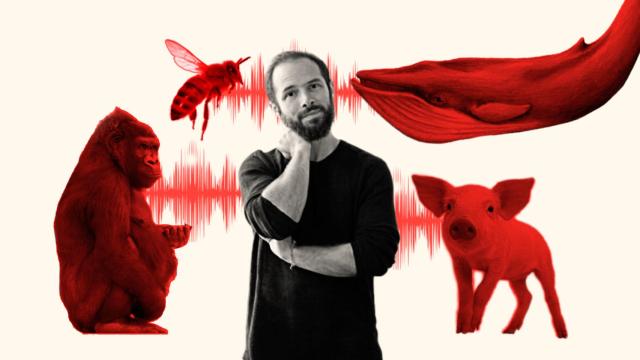 Aza Raskin, presidente de la empresa que promete 'hablar' con animales.