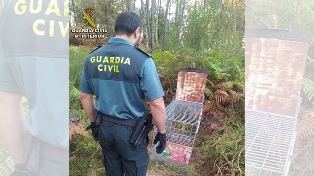 Imagen de la jaula metálica encontrada en Vilaboa.