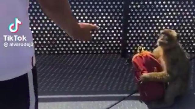 Captura del vídeo que se ha hecho viral.