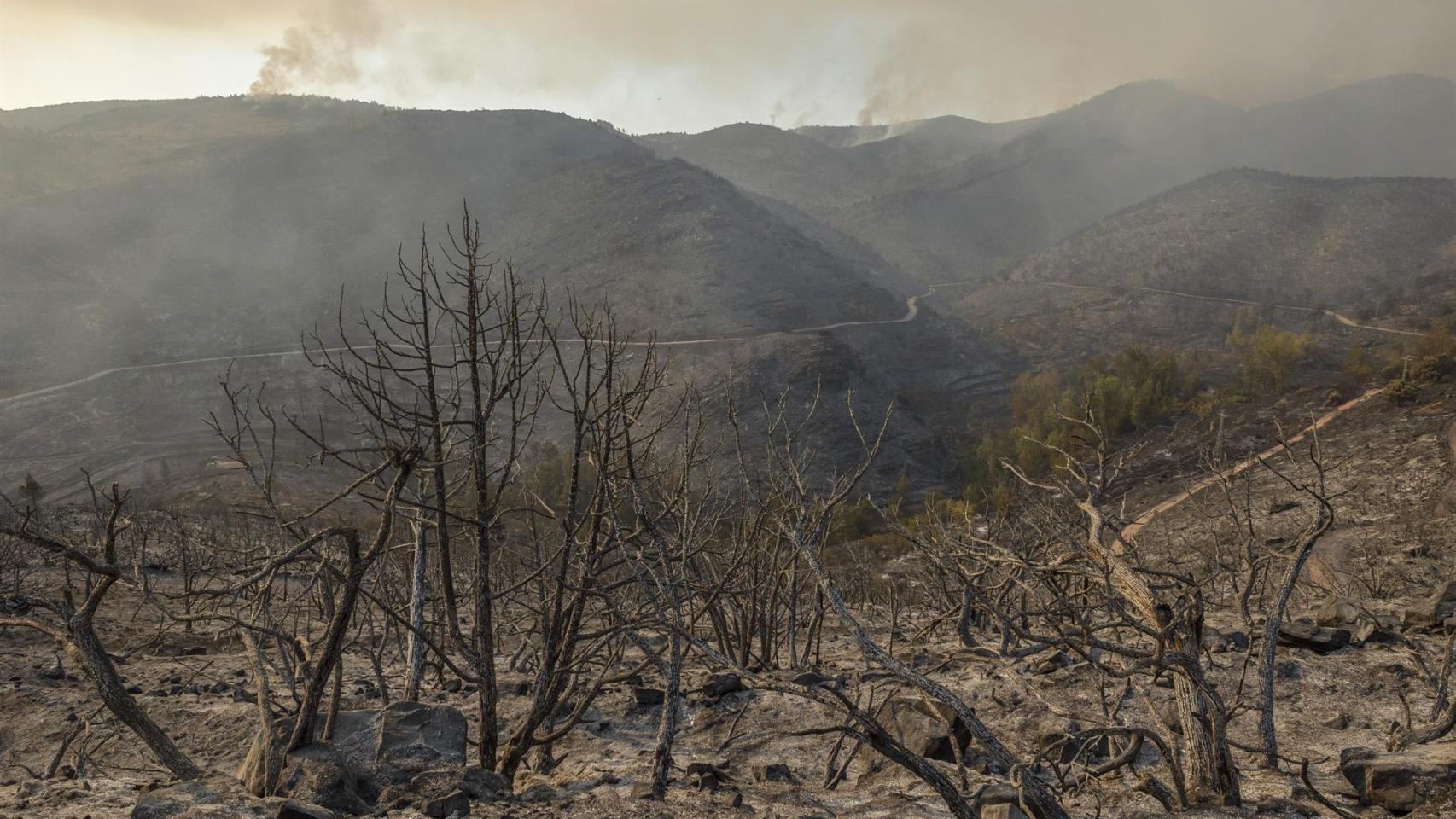 En la Imagen tomada el pasado 16 de Agosto, paraje calcinado en Bejís (Castellón).