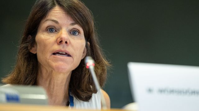 La subdirectora de Energía de la Comisión Europea, Mechthild Wörsdörfer, durante su comparecencia de este jueves