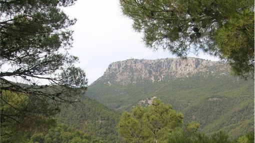 Expertos de la ONU y de la Comisión Europea debaten en Alicante sobre la restauración ecológica