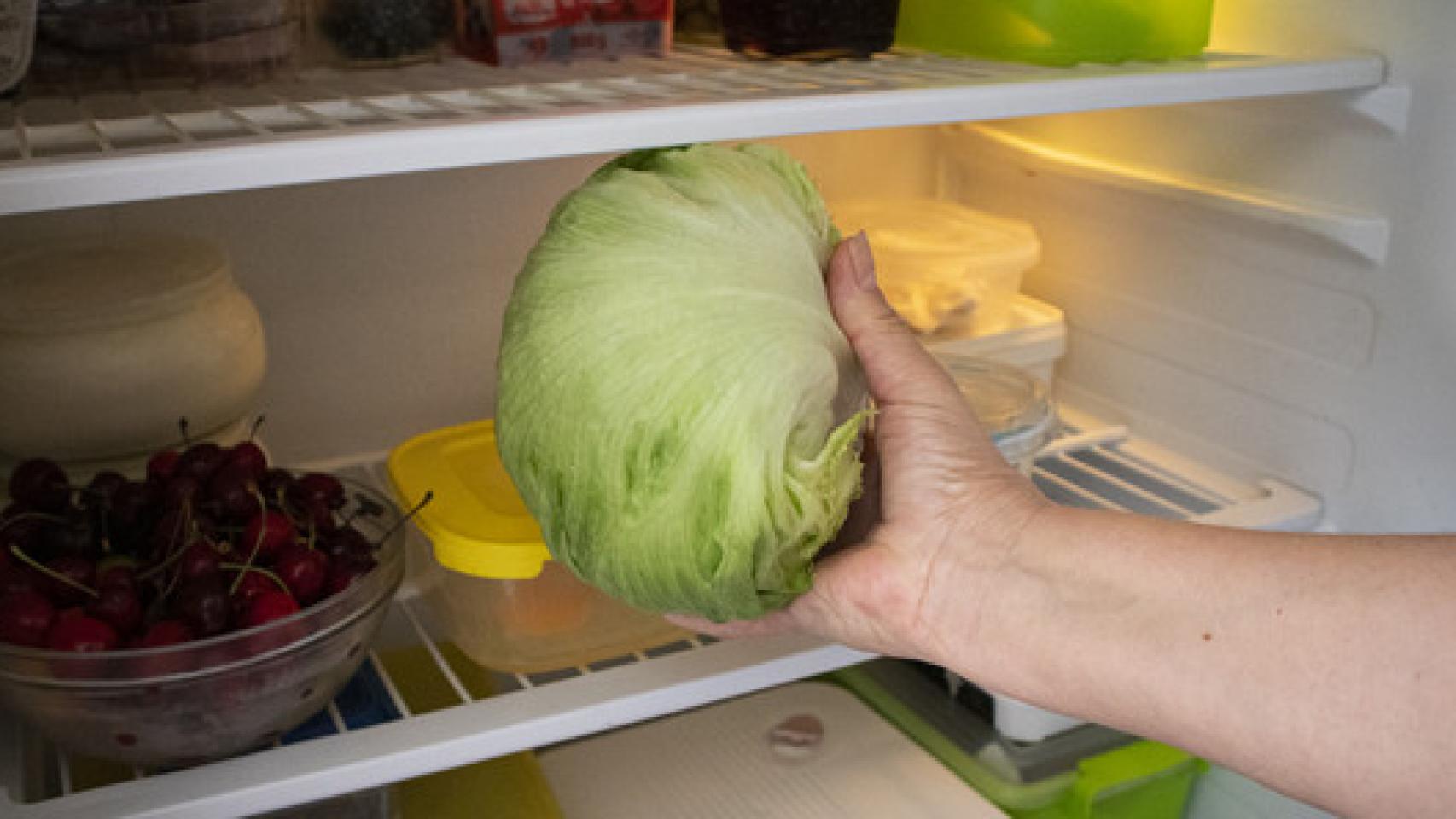 Pasos para conservar la lechuga fresca durante mucho más tiempo.