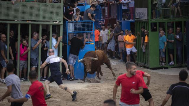 Bous al Carrer en la localidad castellonense de l'Alcora, el pasado jueves.