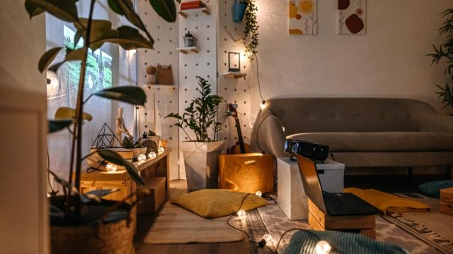 Un salón con varias plantas.