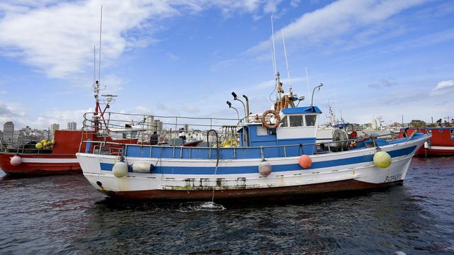 Varios barcos de flota artesanal.