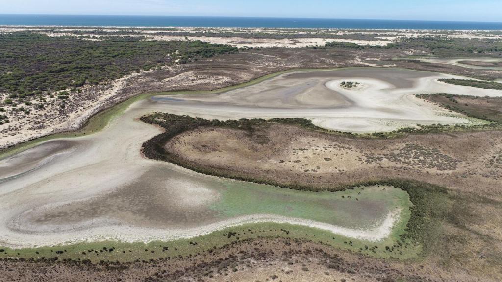Doñana sufre su peor año de sequías sin precedentes: Las claves para entender su estado de alerta