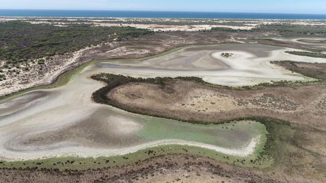 Vista aérea de la laguna permanente de Santa Olalla, ahora seca, en Doñana.